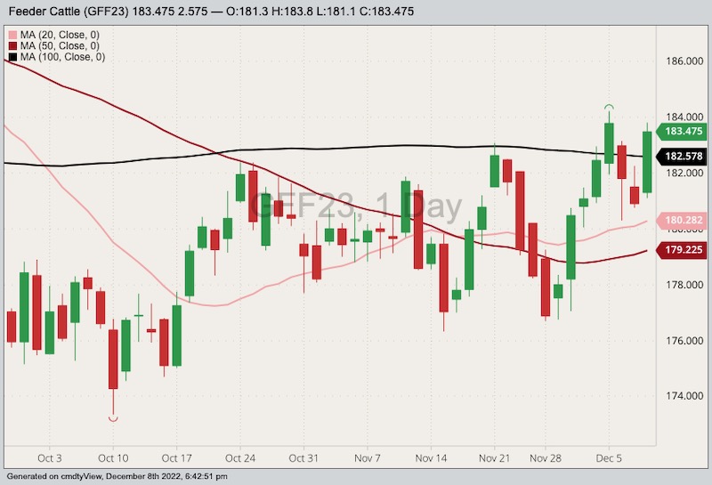 cme january feeder cattle