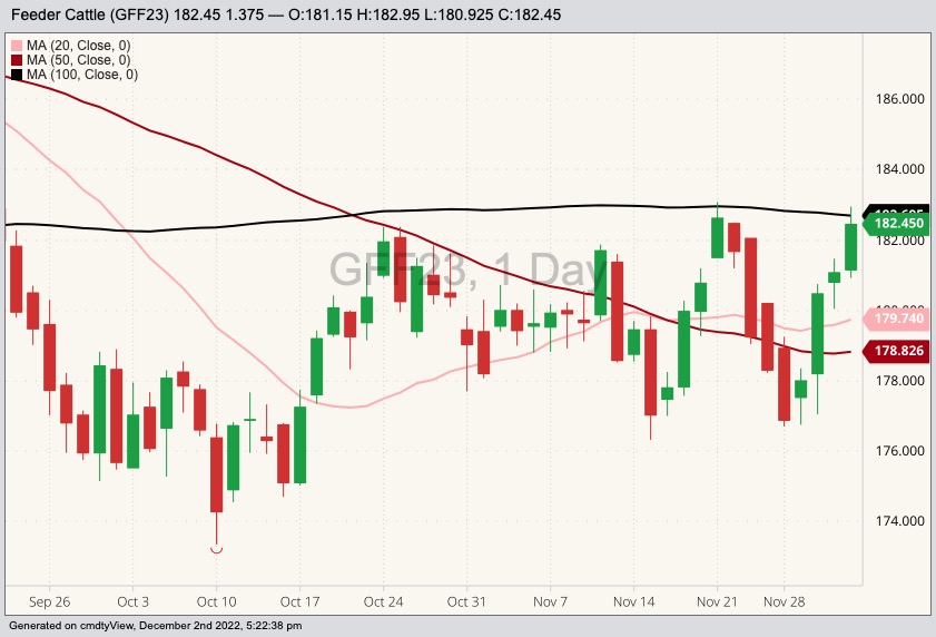 cme january feeder cattle