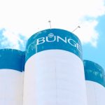 bunge