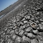 argentina drought