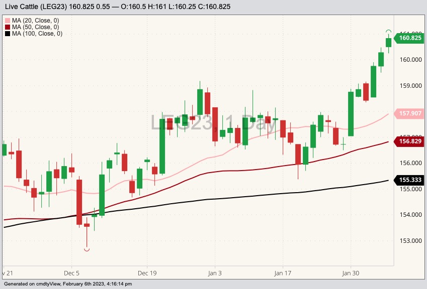 cme february live cattle