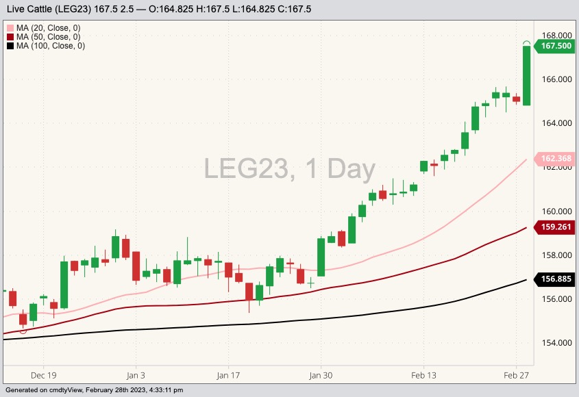 cme february live cattle