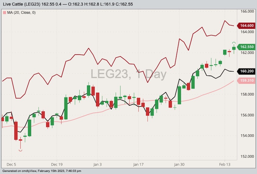 cme february live cattle