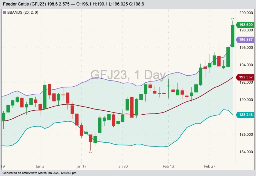 cme april feeder cattle