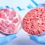 cell cultured meat illustration