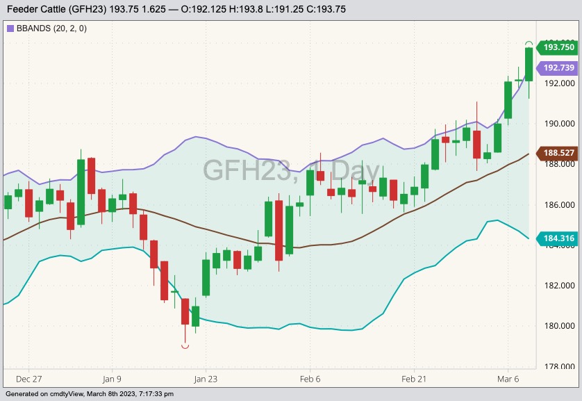 cme march feeder cattle