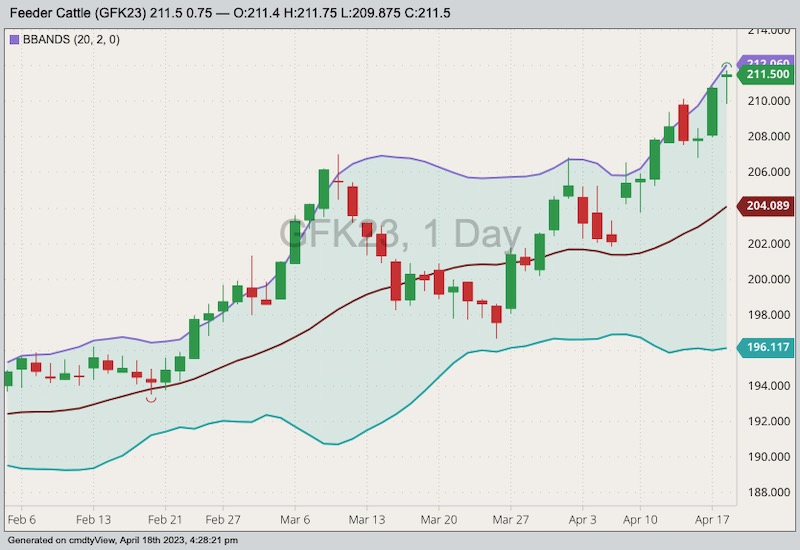 cme may feeder cattle