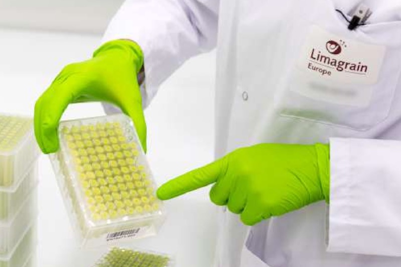 limagrain