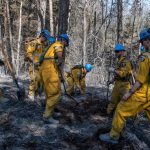 canadian forces firefighting alberta 2023