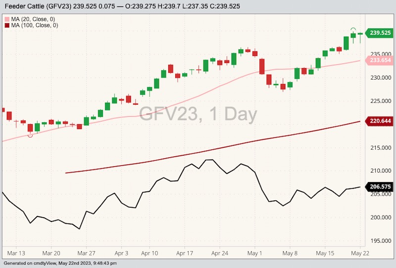 cme october feeder cattle