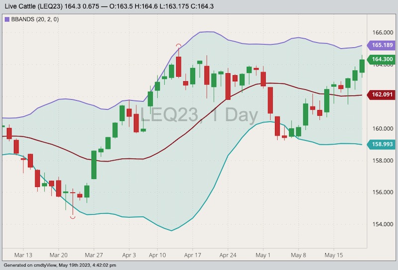 cme august live cattle