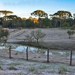 frost on land in brazil
