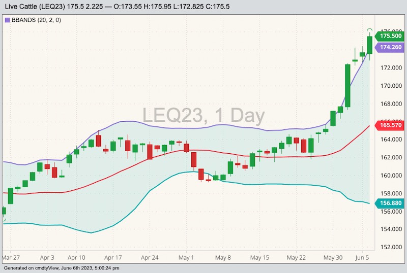 cme august live cattle
