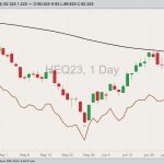 cme august lean hogs