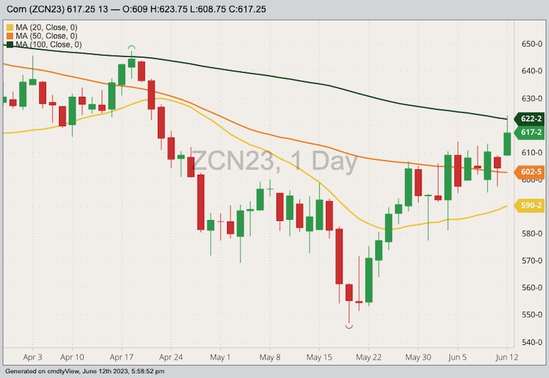 cbot july corn