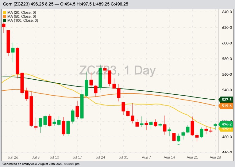 cbot december corn