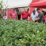 People visit crop plots at Discovery Farm Woodstock
