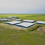Kainai Forage overhead view