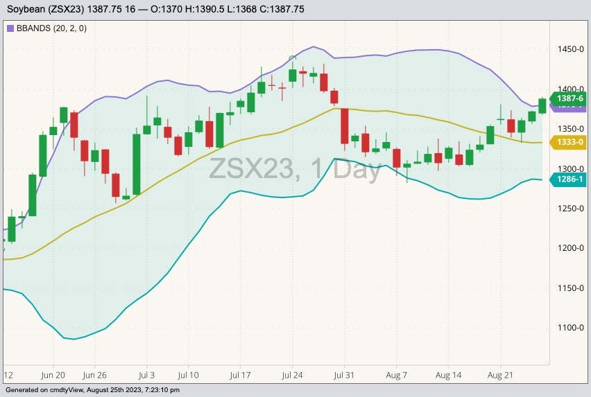 cbot november soybeans