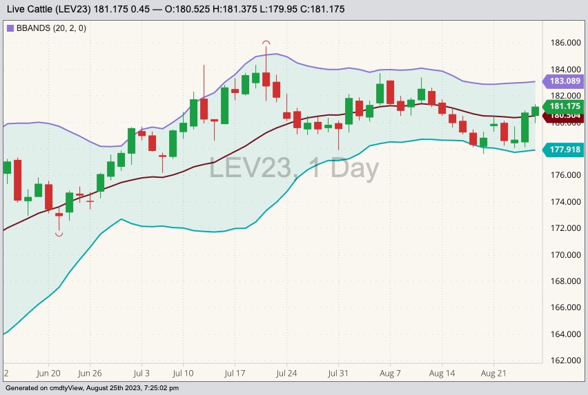 cme october live cattle