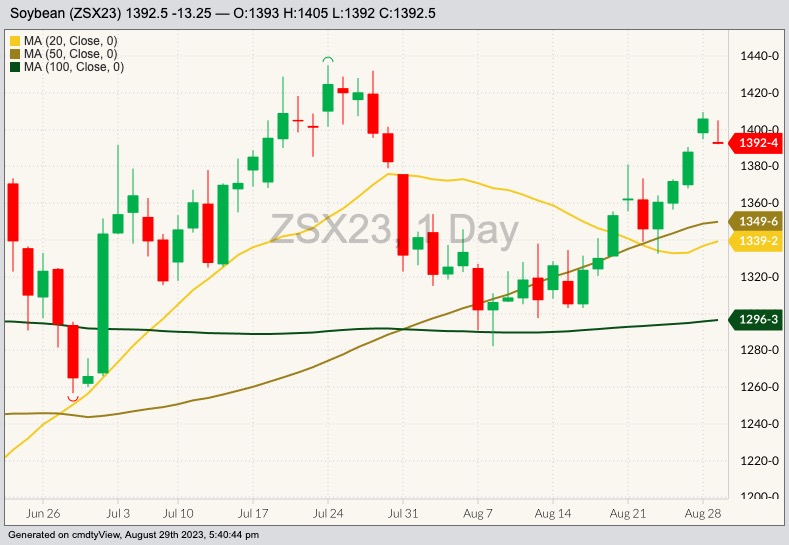 cbot november soybeans