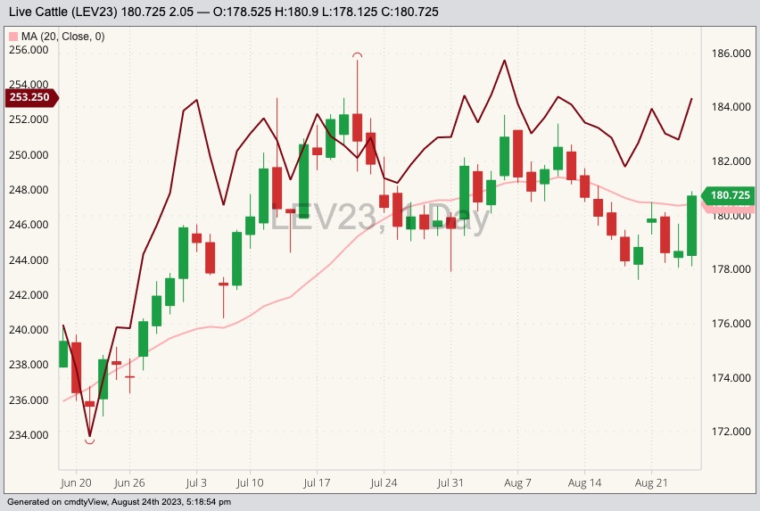 cme october live cattle