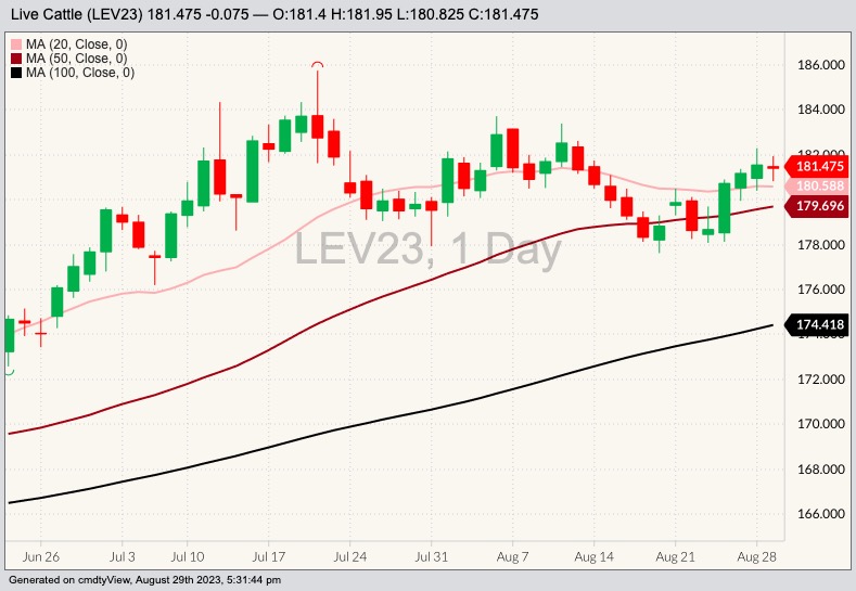 cme october live cattle