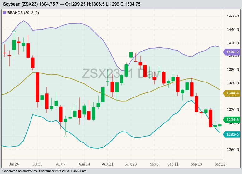 CBOT November soybeans, Sept. 25, 2023.