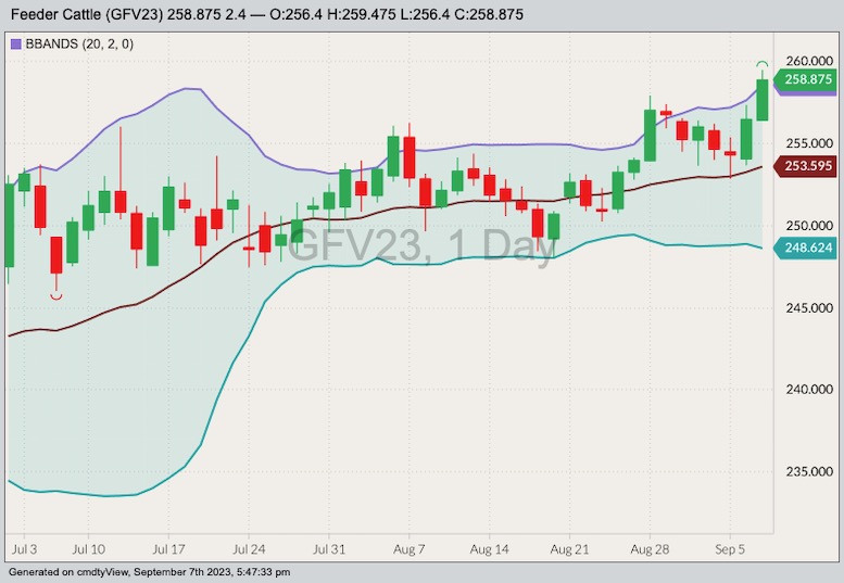 cme october feeder cattle