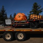 smoky lake pumpkin festival