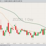 CBOT December corn
