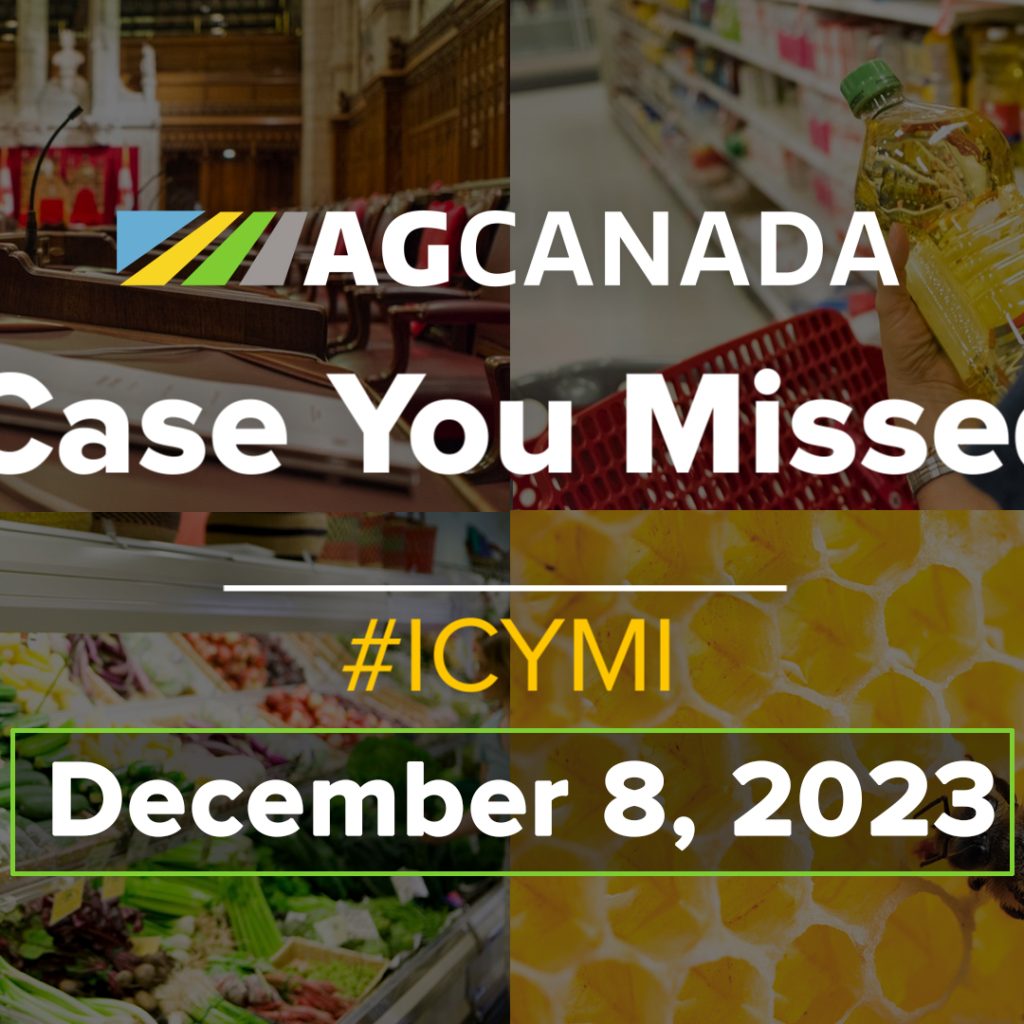 Promotional image for in case you missed it video.