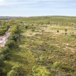Landscape photo of pasture land in the Kimberly region of Australia.