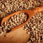 Lentils.
