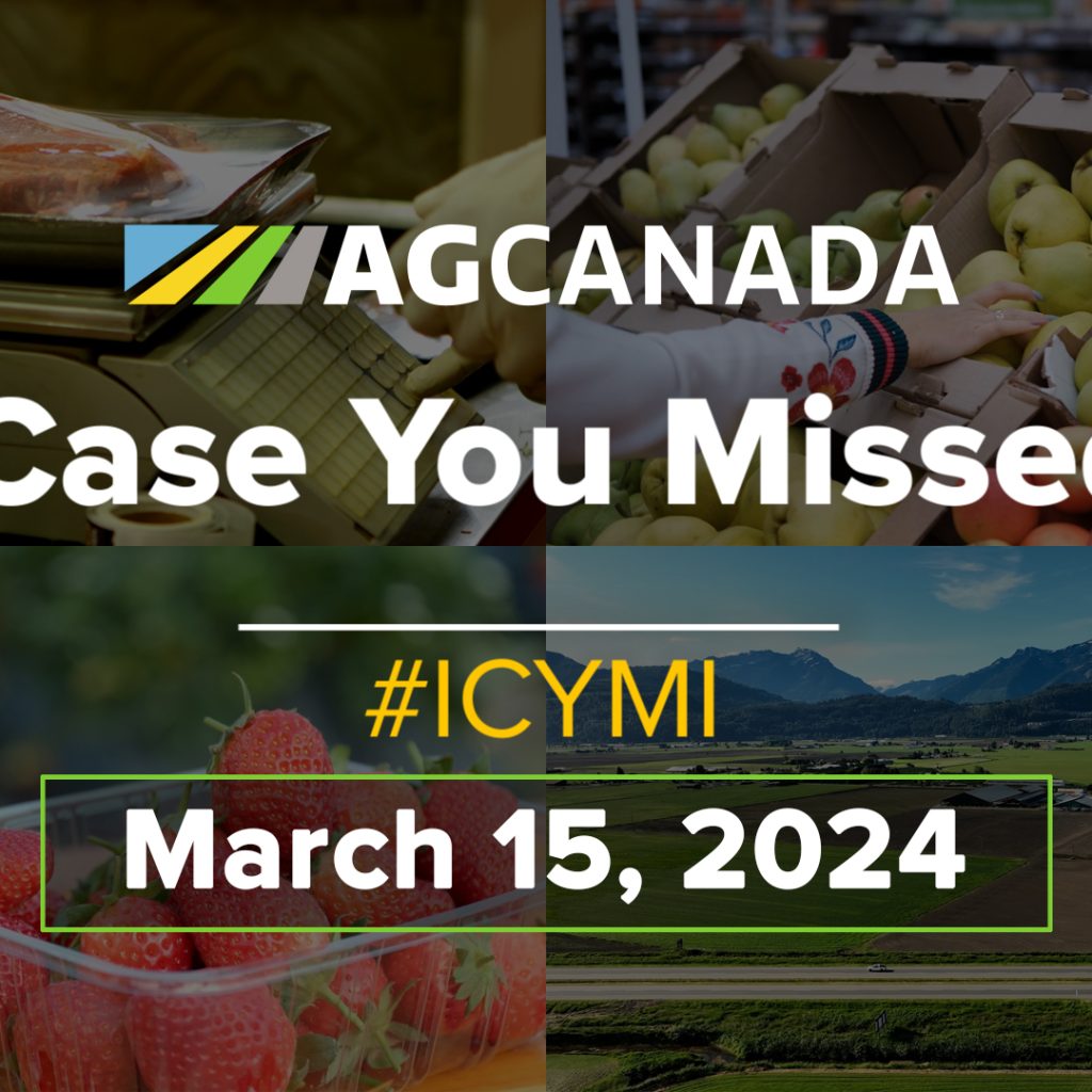 In Case You Missed It March 15 title card.