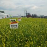 Dekalb plots AIM 2024.