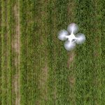 Top view of drone flying over green wheat field in spring. Technology innovation in agricultural industry
