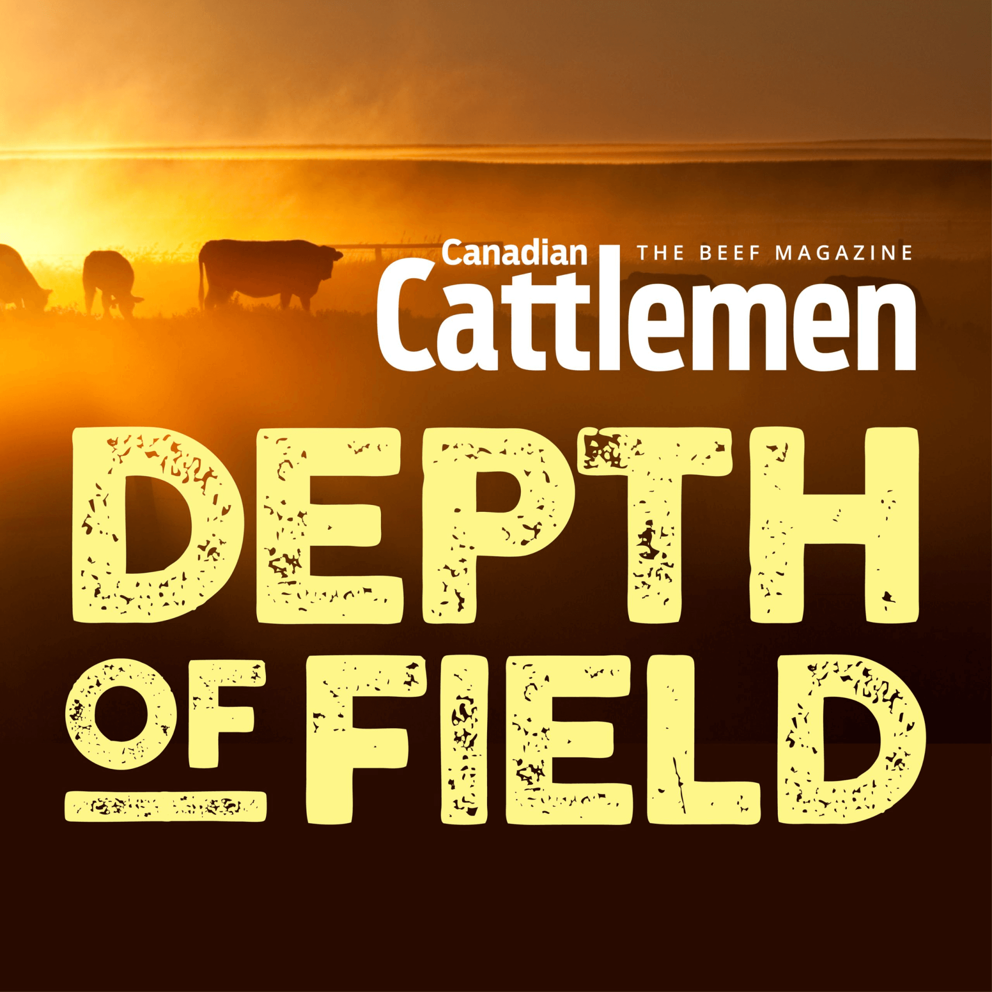 Canadian Cattlemen Presents: Depth of Field Cover Art