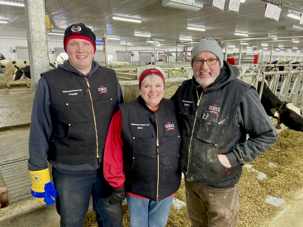 three farmers in a dairy cattle barn