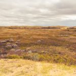 Cloudy sky over dry Saskatchewan sage brush or field