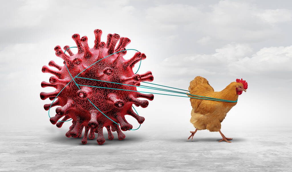 Illustration of a chicken pulling a bird flu virus.