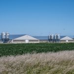 Two modern hog barns on a summer day in Northwest Iowa, USA.