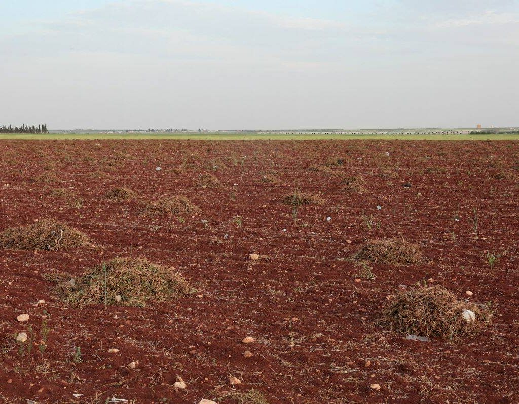A view shows a dry farmland where crops have been uprooted, in Aleppo countryside, Syria, May 8, 2025.