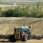 A tractor and air seeder seeding into standing stubble.