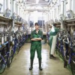 Woman worker portrait in the milking parlour of a dairy farm.