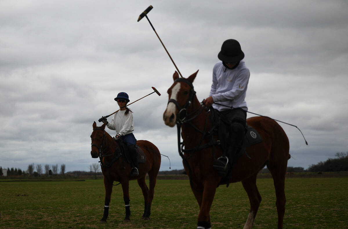 Polo players sit on horses silhouetted as they wait during a training session, in Canuelas, Buenos Aires, Argentina August 7, 2025.