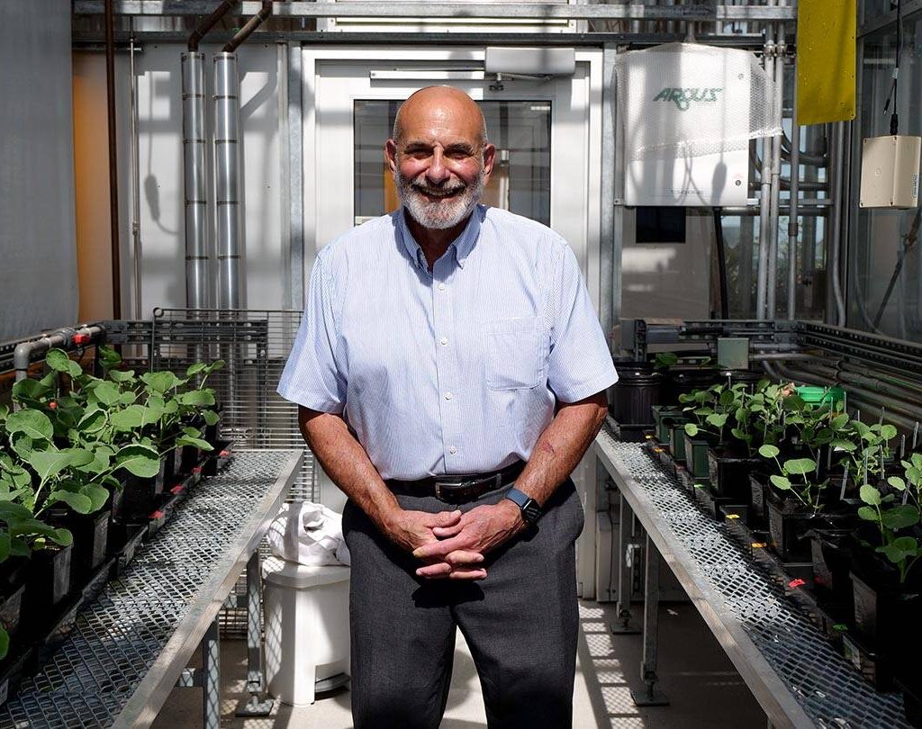 Scientist Leon Kochian poses between two rows of plants in a greenhouse.