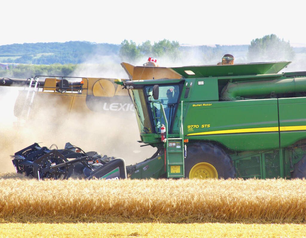 Cereals get harvested near Rathwell, Man.
