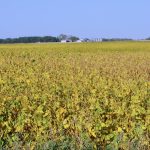 PHOTO: ALEXIS STOCKFORD