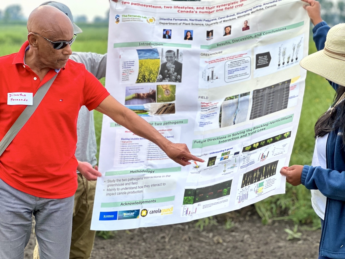 Dilantha Fernando pointing at a chart showing the interaction between blackleg and verticillium in canola